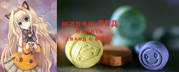 гашик Куртамыш