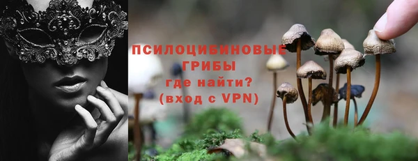 ПСИЛОЦИБИНОВЫЕ ГРИБЫ Наволоки