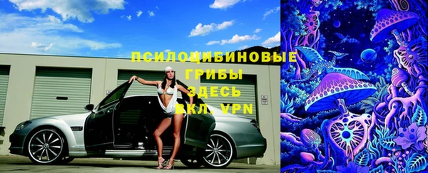 мескалин Надым