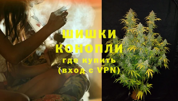 ПСИЛОЦИБИНОВЫЕ ГРИБЫ Наволоки