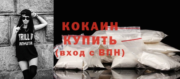 гашик Куртамыш
