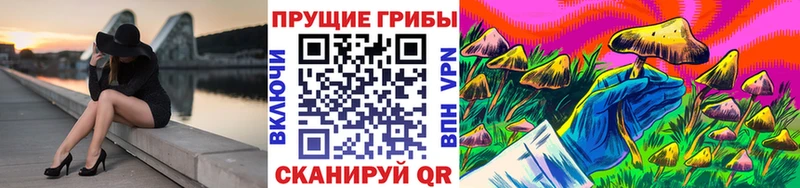 Галлюциногенные грибы мицелий  Мураши 
