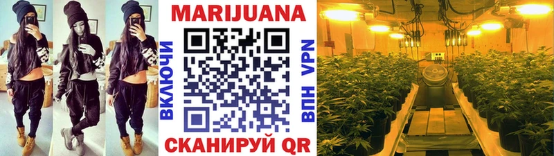 купить наркоту Мураши блэк спрут ссылка Каннабис OG Kush